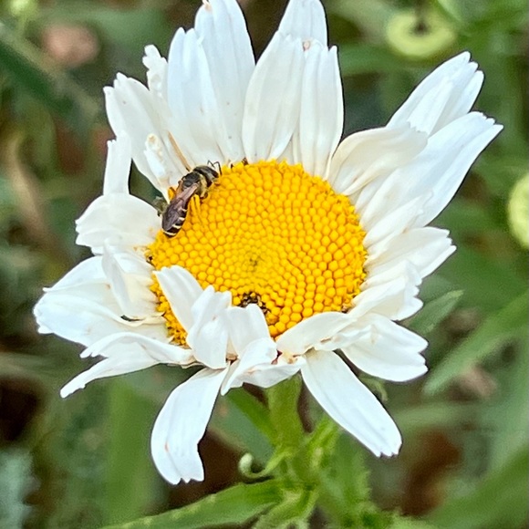 🪺Welcome to my closet🪺 - Picture 11 of 15